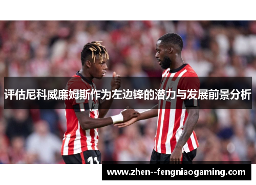 评估尼科威廉姆斯作为左边锋的潜力与发展前景分析