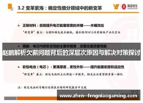 赵鹏解析欠薪问题背后的深层次原因与解决对策探讨