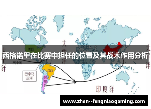 西格诺里在比赛中担任的位置及其战术作用分析