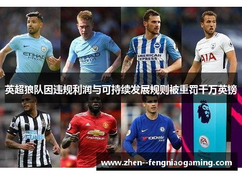 英超狼队因违规利润与可持续发展规则被重罚千万英镑